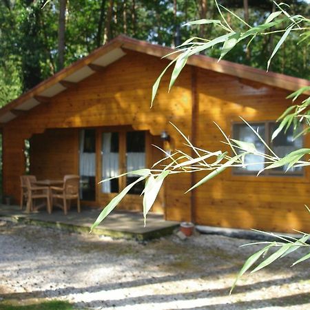 Bospark De Brenkberg Schinveld Exterior photo